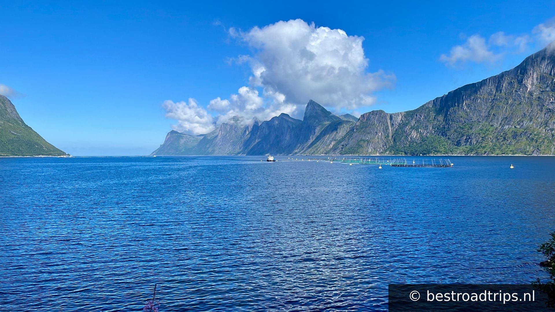 Senja