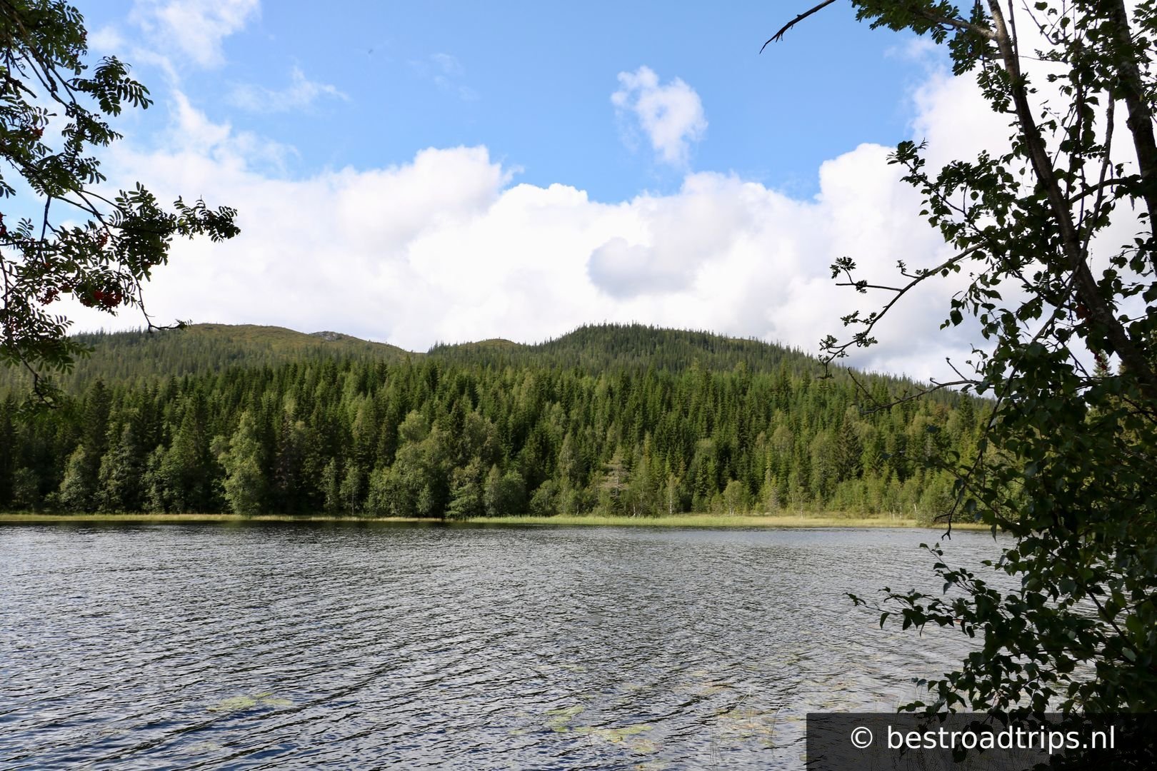 Helgelandskysten