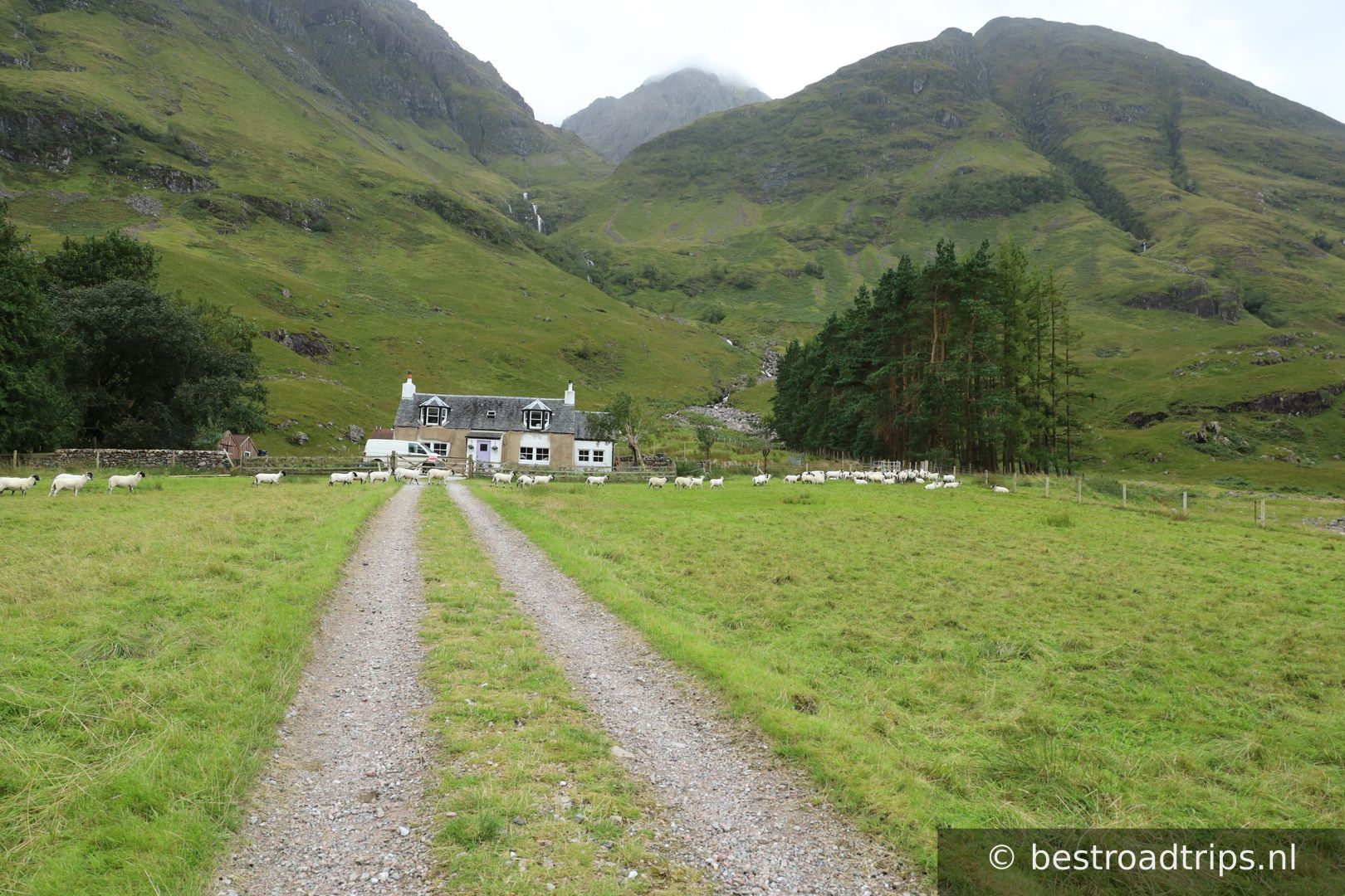 Glencoe